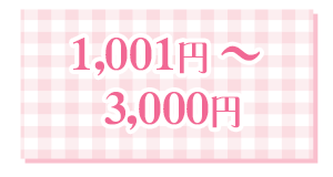 1,001〜3,000円