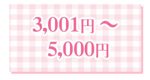 3,001〜5,000円