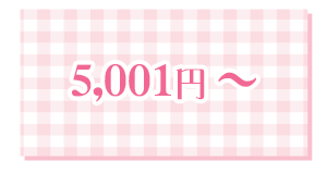 5,001円〜