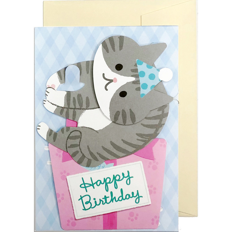 グリーティングカード 誕生日祝い　つままれネコ