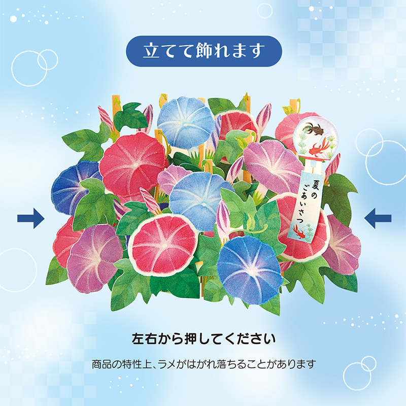  サマー　朝顔いっぱい