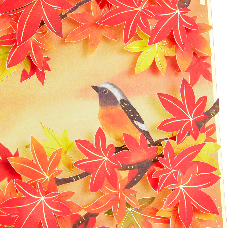 グリーティングカード 秋　紅葉色紙