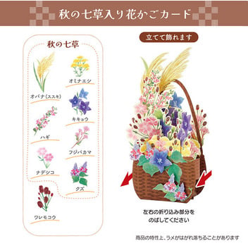 グリーティングカード 秋　秋の七草入り花かご