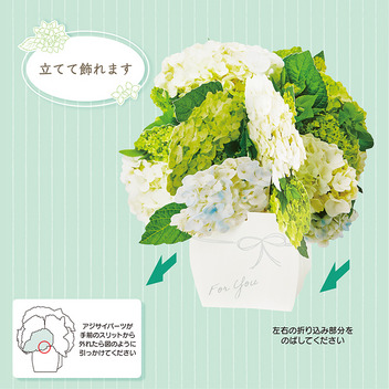 初夏　花瓶に白いアジサイ