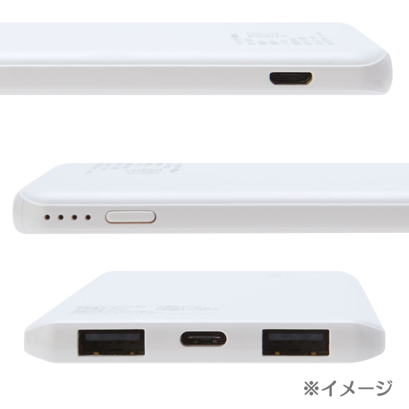 ポチャッコ タマ＆フレンズ USB出力リチウムイオンポリマー充電器