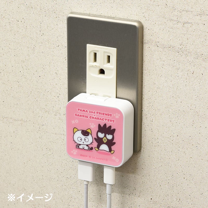バッドばつ丸 タマ＆フレンズ USB出力ACアダプタ
