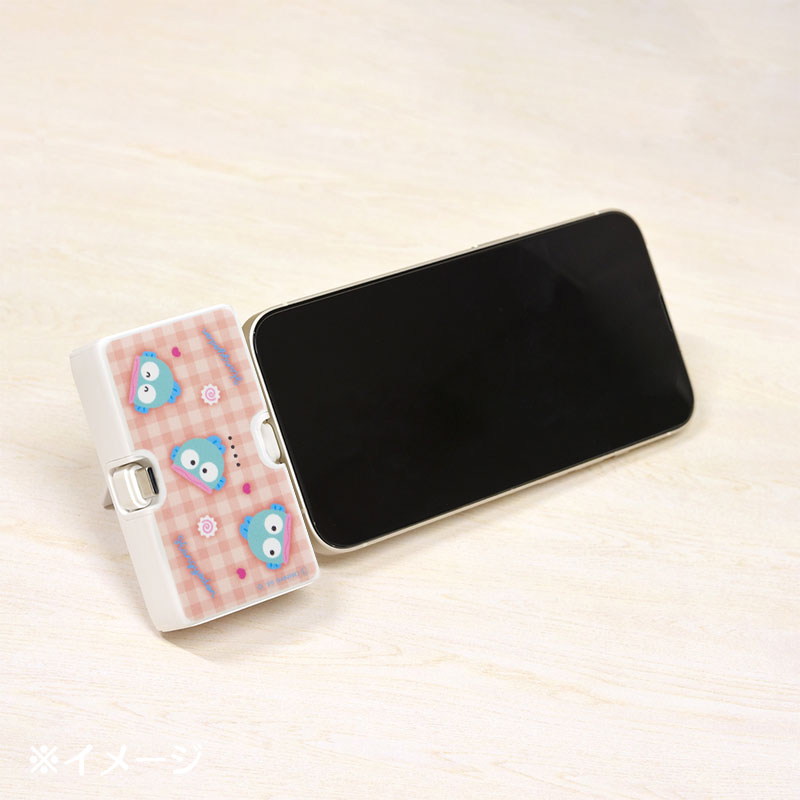 ハンギョドン Lightning/Type-C コネクタ付き リチウムイオン充電器