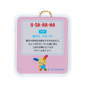 ウサハナ ミニチュアパッケージチャーム（ミニチュアトイ）