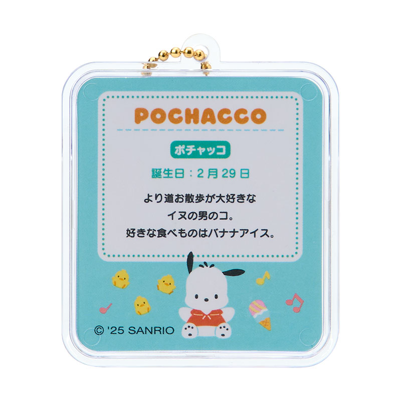 ポチャッコ ミニチュアパッケージチャーム（ミニチュアトイ）