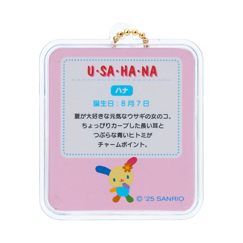 ウサハナ ミニチュアパッケージチャーム（ミニチュアトイ）