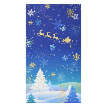 グリーティングカード クリスマス　金封夜空にサンタ