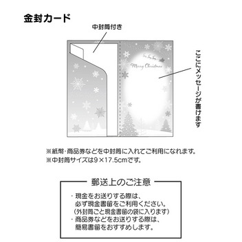 グリーティングカード クリスマス　金封夜空にサンタ