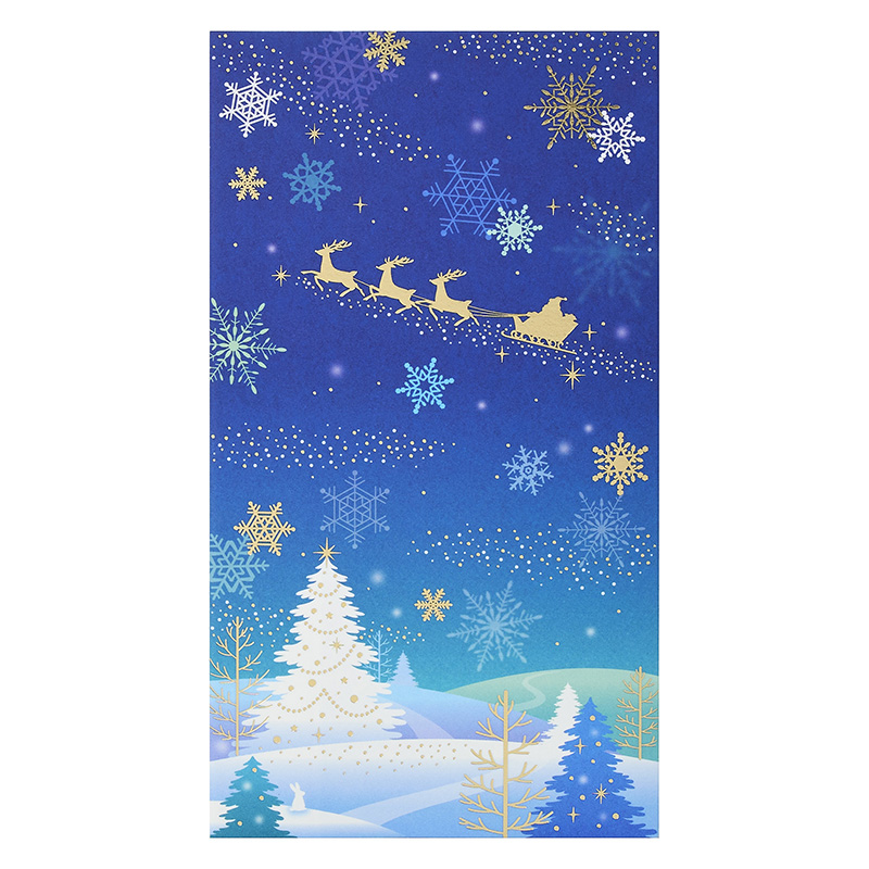 グリーティングカード クリスマス　金封夜空にサンタ