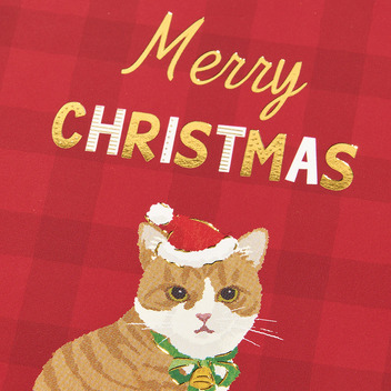 グリーティングカード クリスマス　ミニカード　サンタ帽子をかぶるネコ