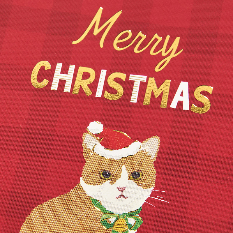 グリーティングカード クリスマス　ミニカード　サンタ帽子をかぶるネコ