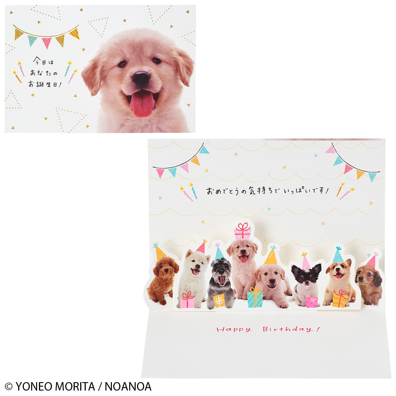 グリーティングカード 誕生日祝い　フォトイヌの顔