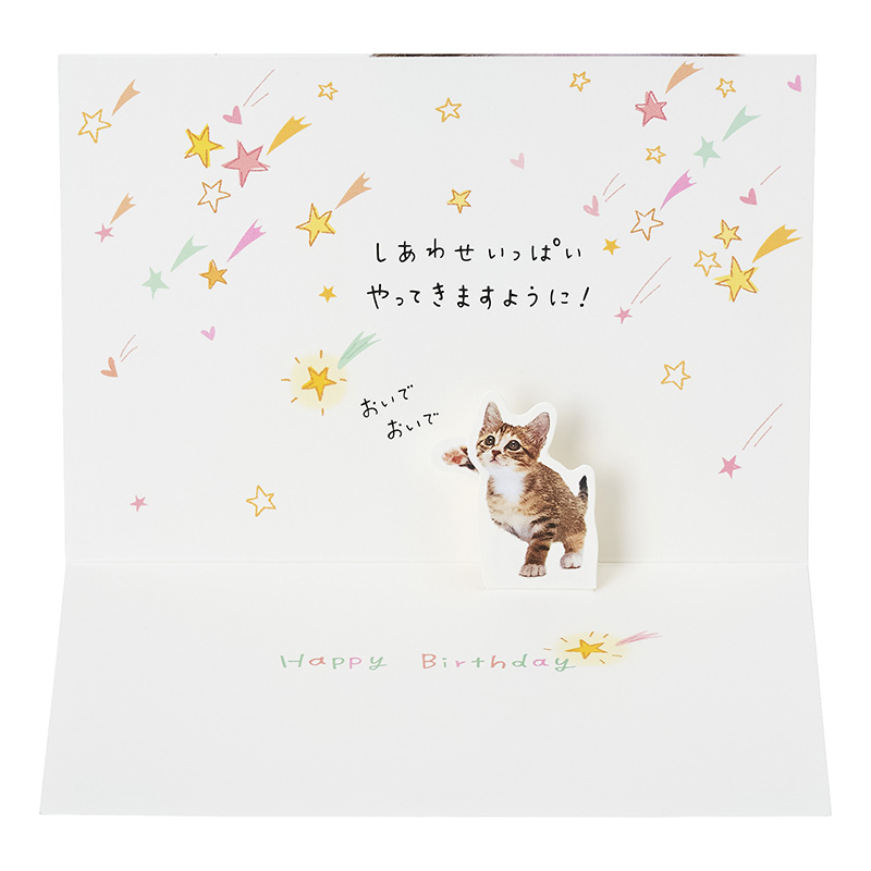 グリーティングカード 誕生日祝い　フォトネコの顔