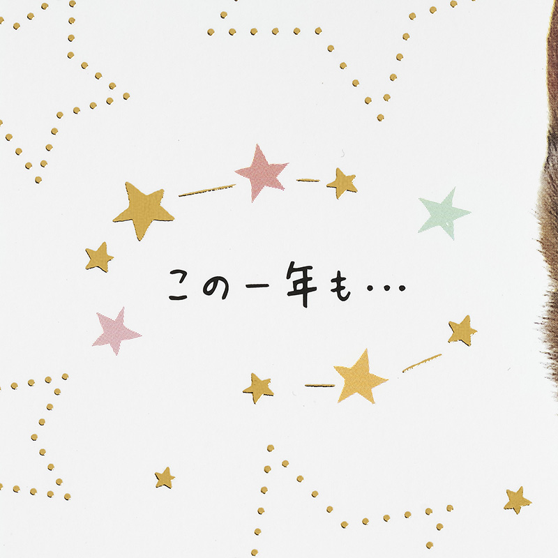グリーティングカード 誕生日祝い　フォトネコの顔