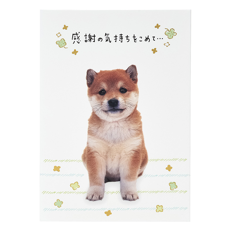 グリーティングカード 感謝　フォトイヌ全身
