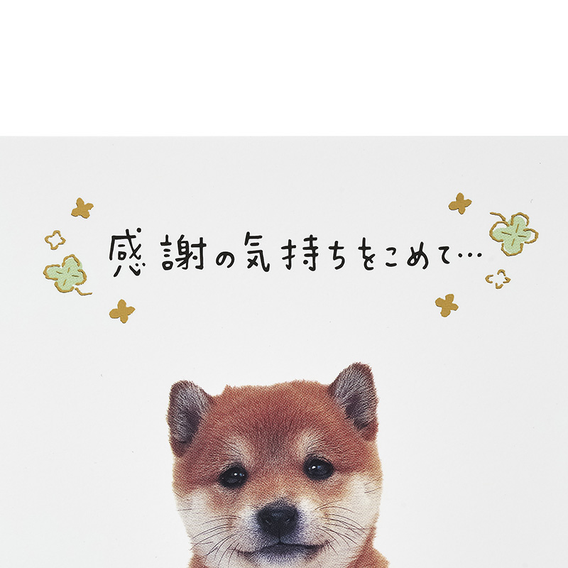 グリーティングカード 感謝　フォトイヌ全身
