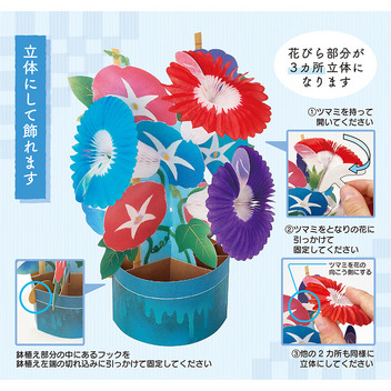  サマー　ハニカムペーパーカード朝顔