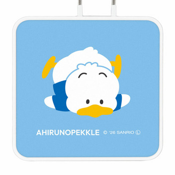 あひるのペックル USB Type-C 出力 ACアダプタ