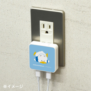あひるのペックル USB Type-C 出力 ACアダプタ