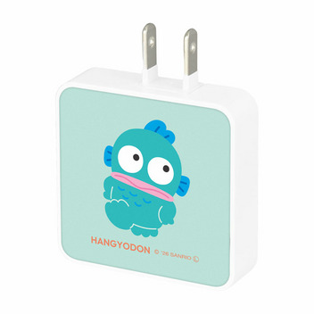 ハンギョドン USB Type-C 出力 ACアダプタ