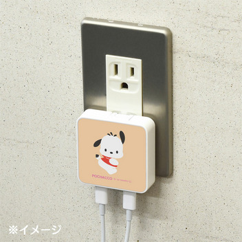 ポチャッコ USB Type-C 出力 ACアダプタ
