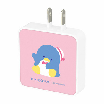 タキシードサム USB Type-C 出力 ACアダプタ
