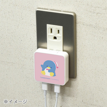 タキシードサム USB Type-C 出力 ACアダプタ
