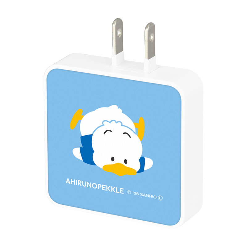 あひるのペックル USB Type-C 出力 ACアダプタ