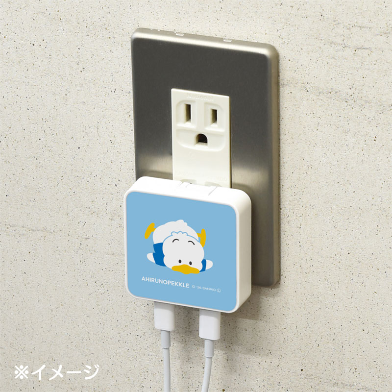 あひるのペックル USB Type-C 出力 ACアダプタ