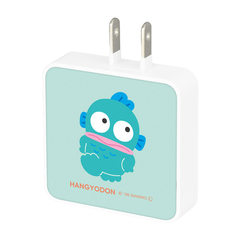 ハンギョドン USB Type-C 出力 ACアダプタ