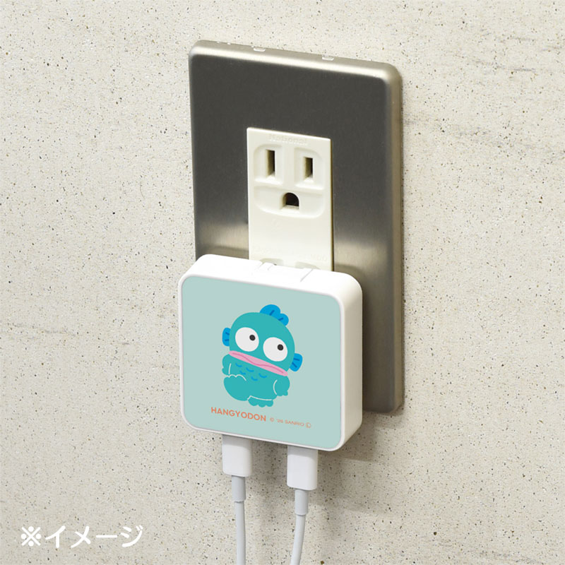 ハンギョドン USB Type-C 出力 ACアダプタ