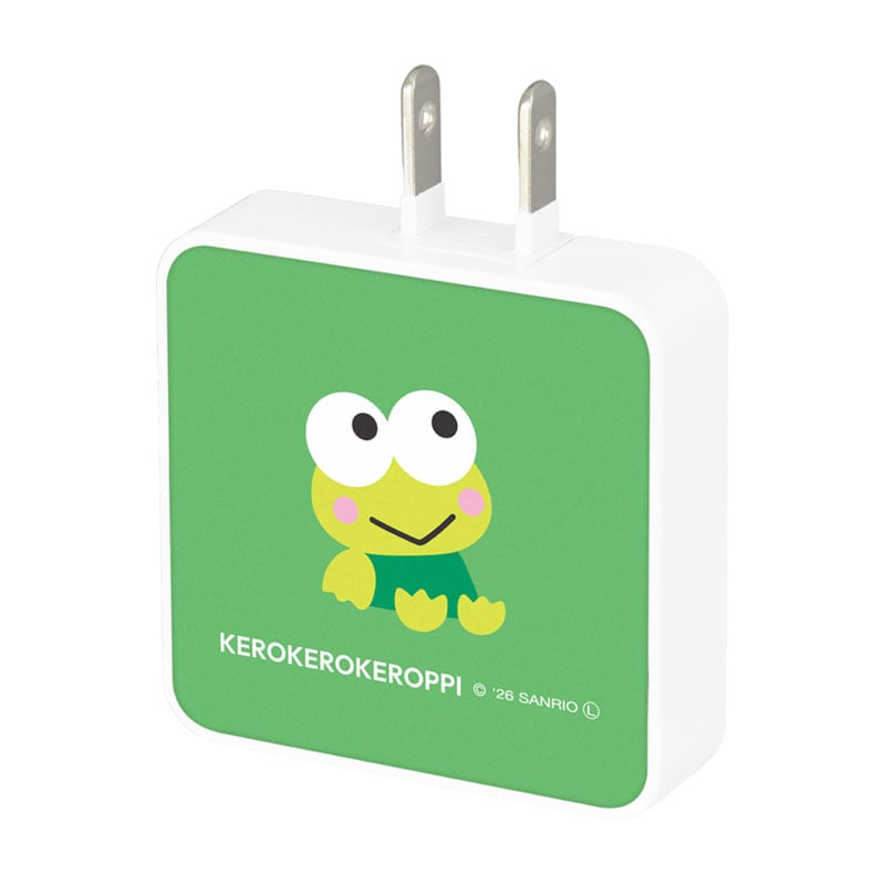 けろけろけろっぴ USB Type-C 出力 ACアダプタ