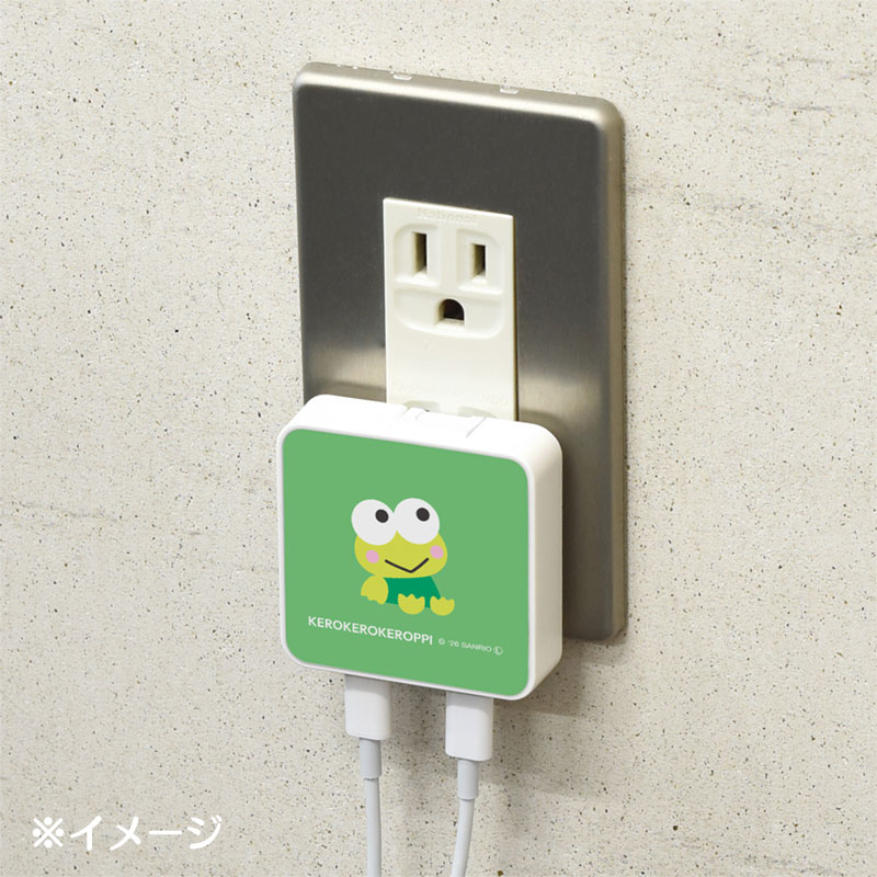 けろけろけろっぴ USB Type-C 出力 ACアダプタ