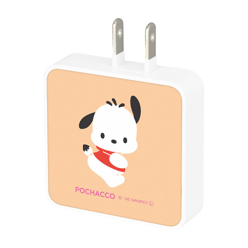 ポチャッコ USB Type-C 出力 ACアダプタ