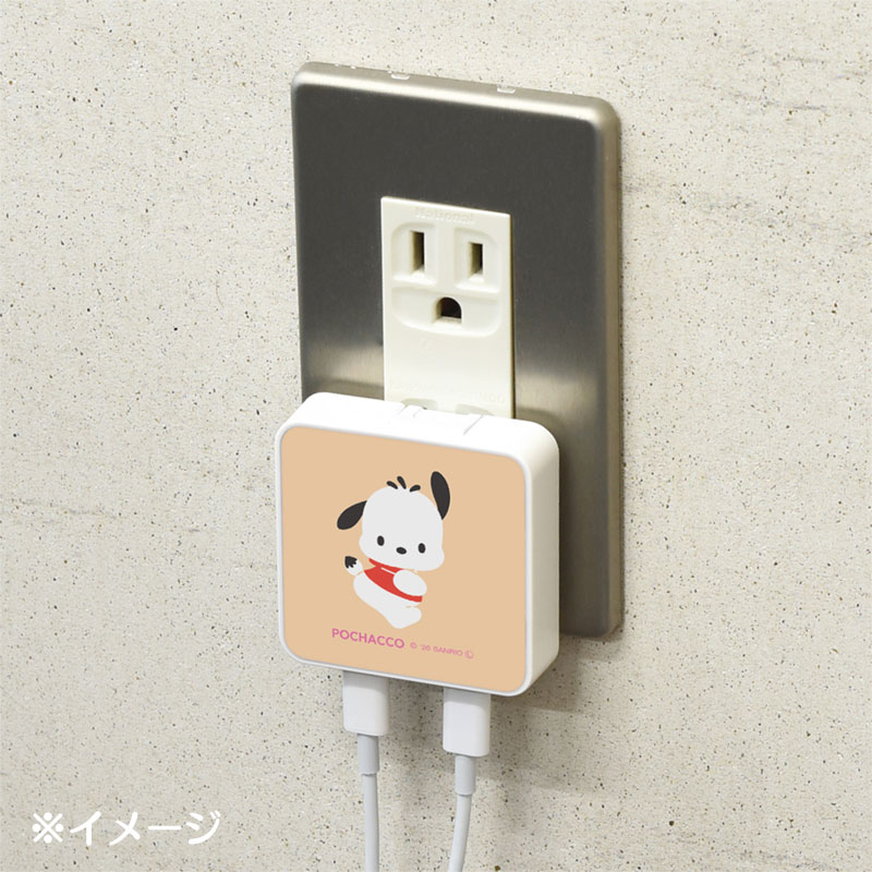 ポチャッコ USB Type-C 出力 ACアダプタ