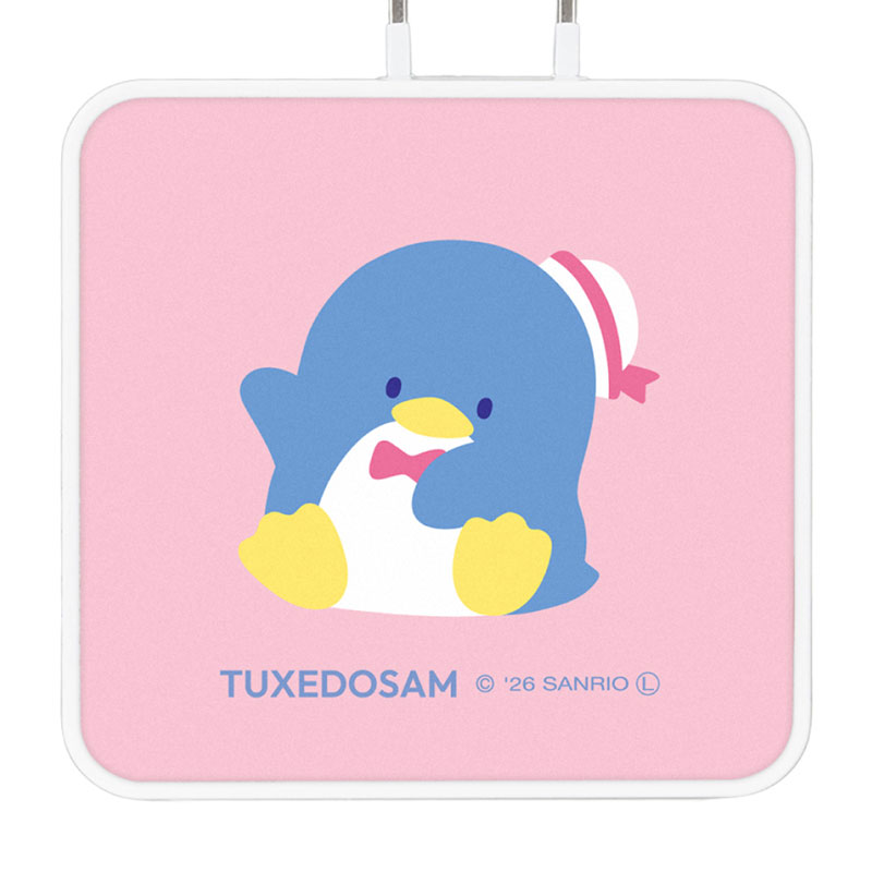 タキシードサム USB Type-C 出力 ACアダプタ
