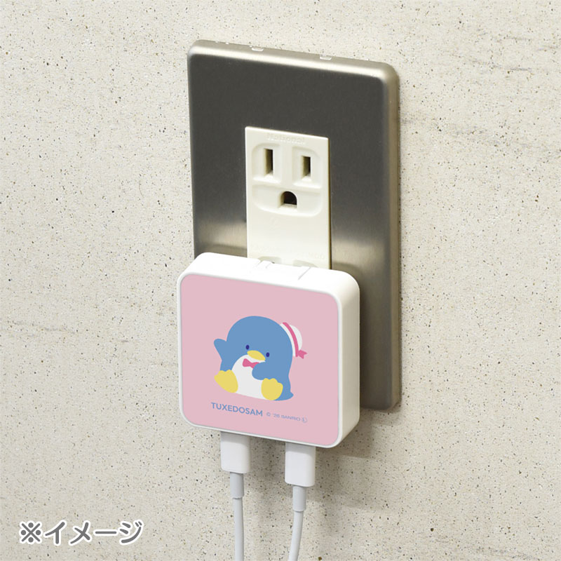 タキシードサム USB Type-C 出力 ACアダプタ