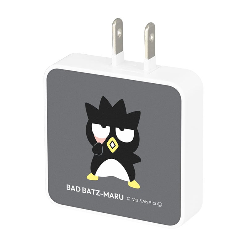 バッドばつ丸 USB Type-C 出力 ACアダプタ