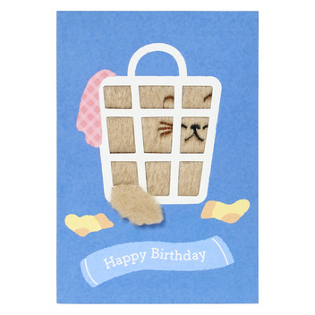 グリーティングカード 誕生日祝い　ふかふかカゴにネコ