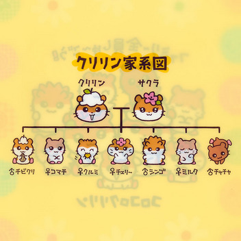 コロコロクリリン A4クリアファイル