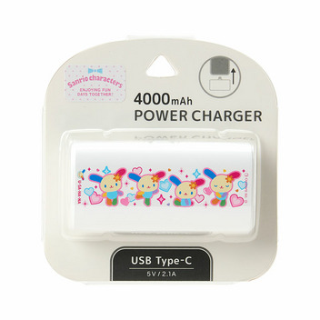 ウサハナ USB Type-C コネクタ付き リチウムイオン充電器 4000mAh