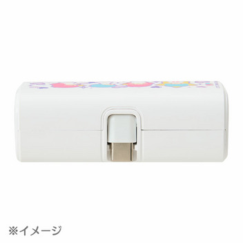ウサハナ USB Type-C コネクタ付き リチウムイオン充電器 4000mAh