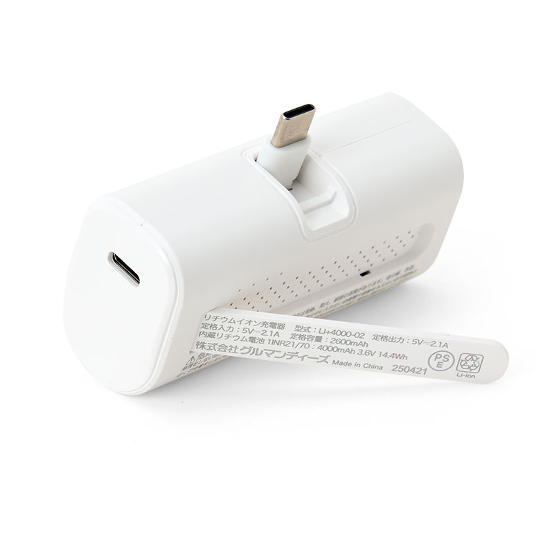 ウサハナ USB Type-C コネクタ付き リチウムイオン充電器 4000mAh