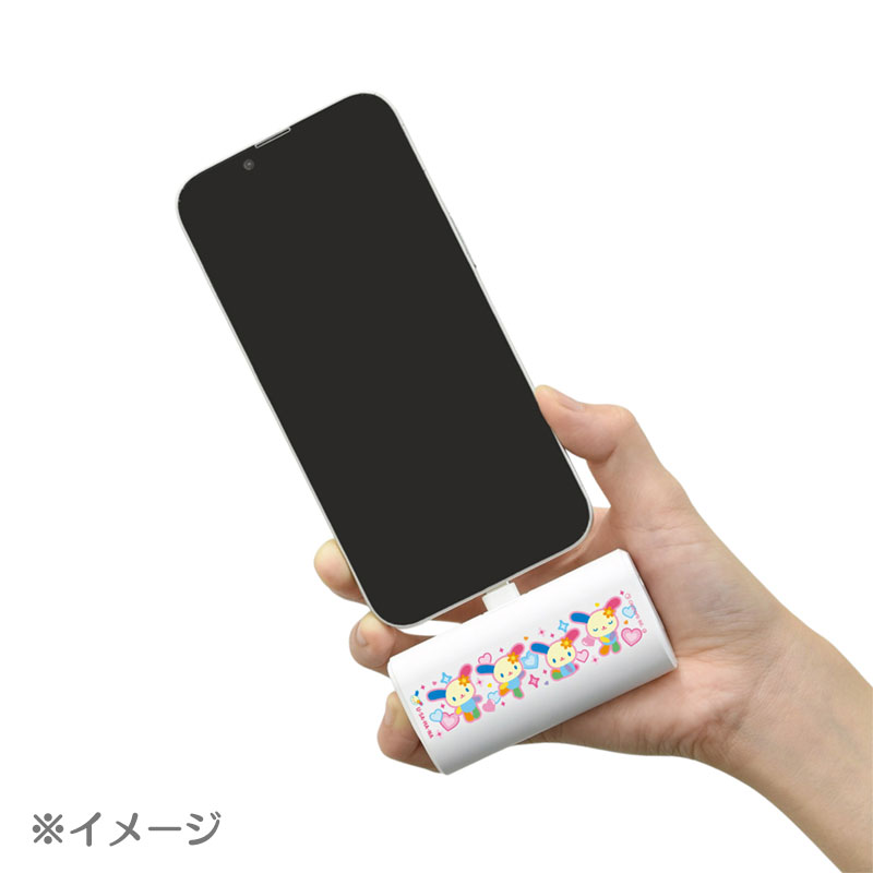 ウサハナ USB Type-C コネクタ付き リチウムイオン充電器 4000mAh