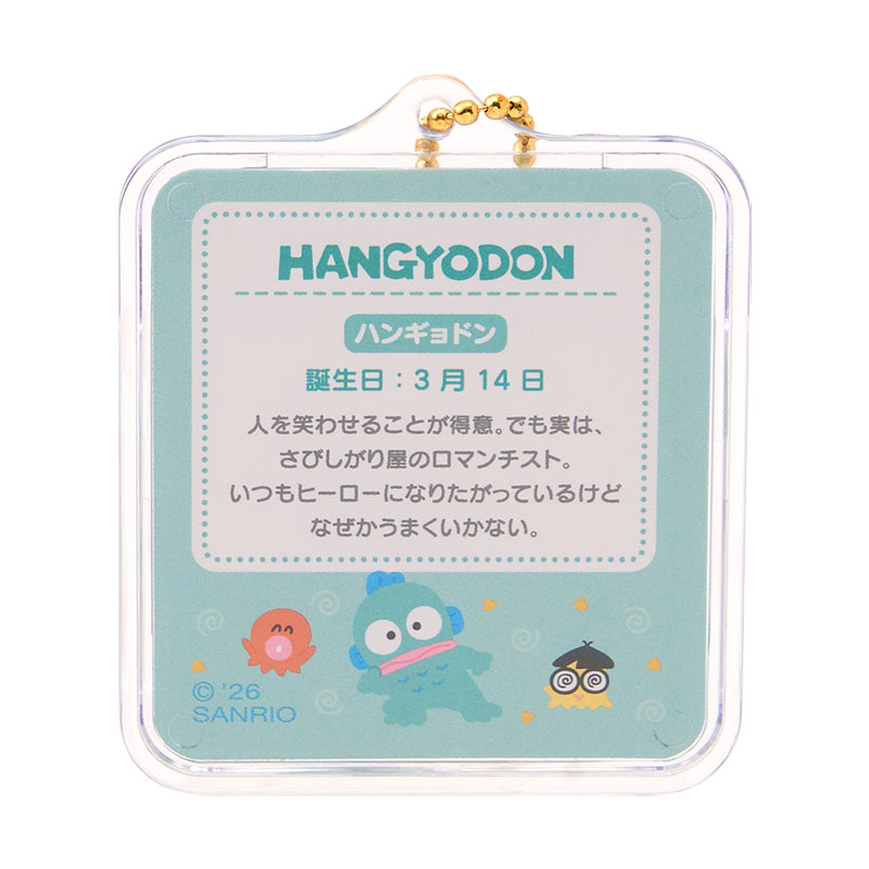 ハンギョドン ミニチュアパッケージチャーム