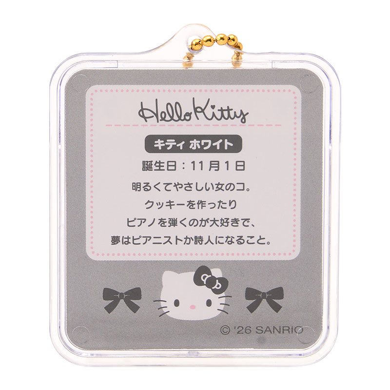 ハローキティ ミニチュアパッケージチャーム